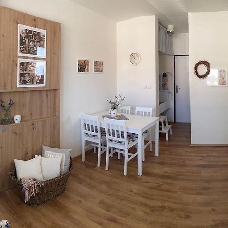Apartman V Brezi エクステリア 写真