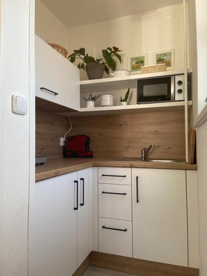 Apartman V Brezi エクステリア 写真
