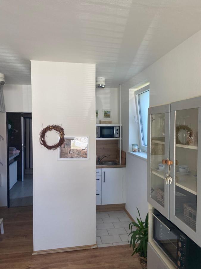 Apartman V Brezi エクステリア 写真