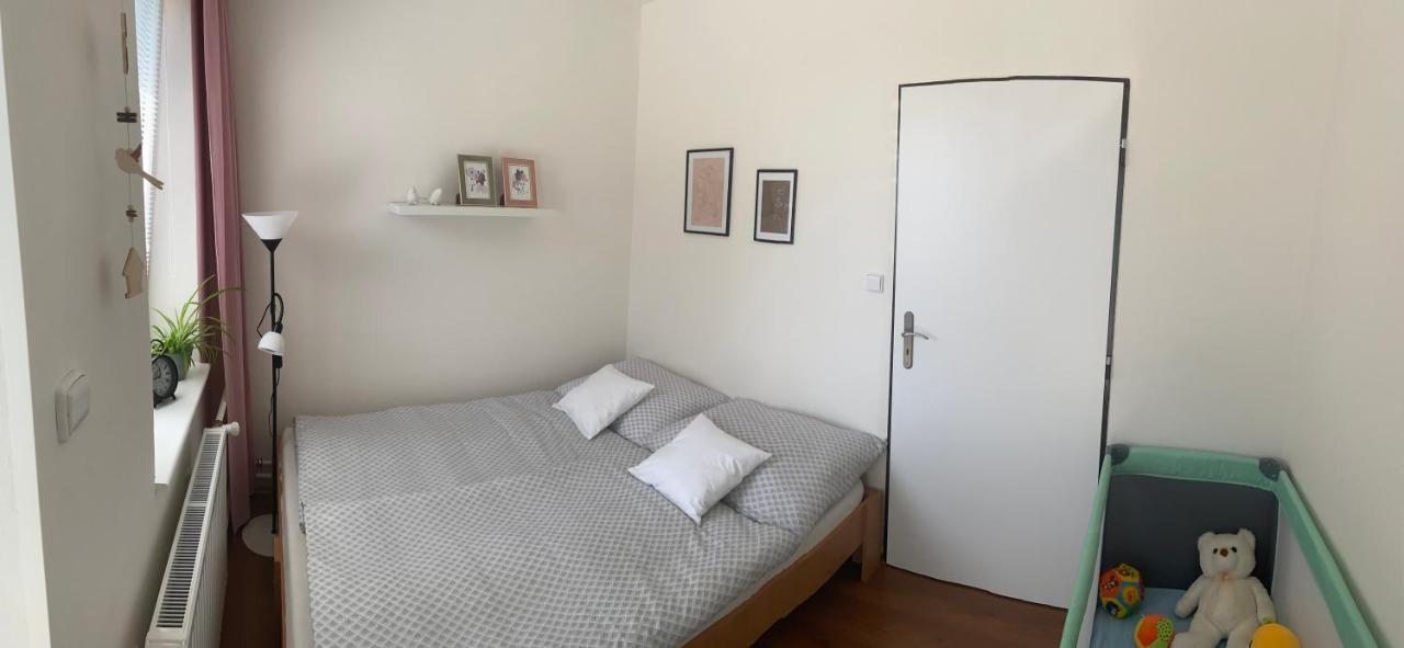 Apartman V Brezi エクステリア 写真